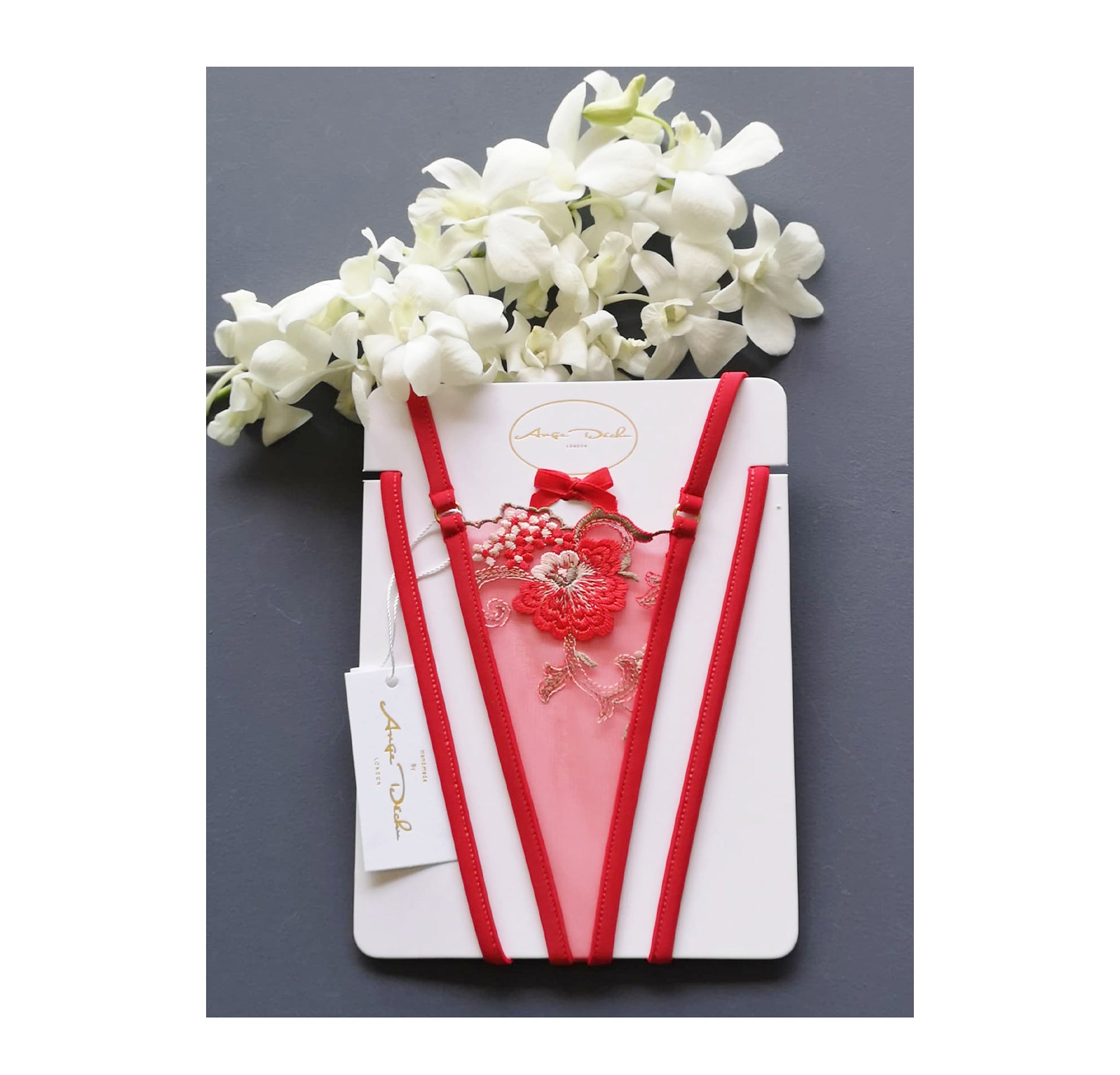 Sheer lingerie set with G string panties in see through red lace sexy boudoir lingerie - Ange Déchu